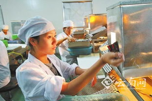 云南省醫(yī)藥工業(yè)投資持續(xù)增長，產(chǎn)業(yè)升級與區(qū)域發(fā)展同頻共振